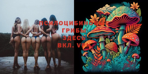 ECSTASY Балахна